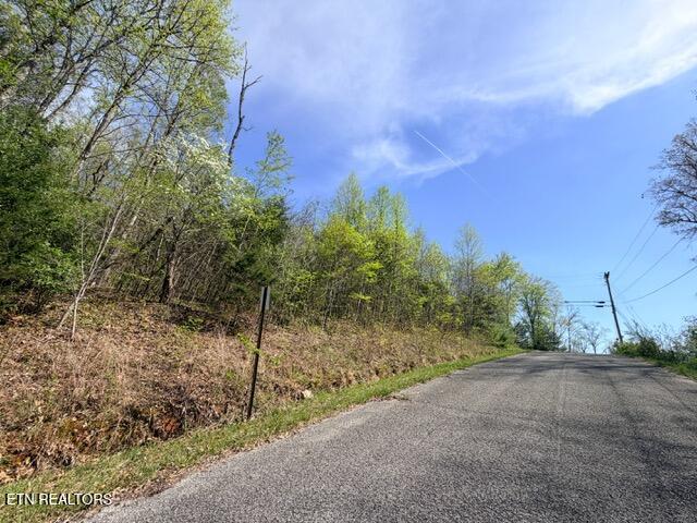Lot 110 Harness Lane Speedwell TN 37870