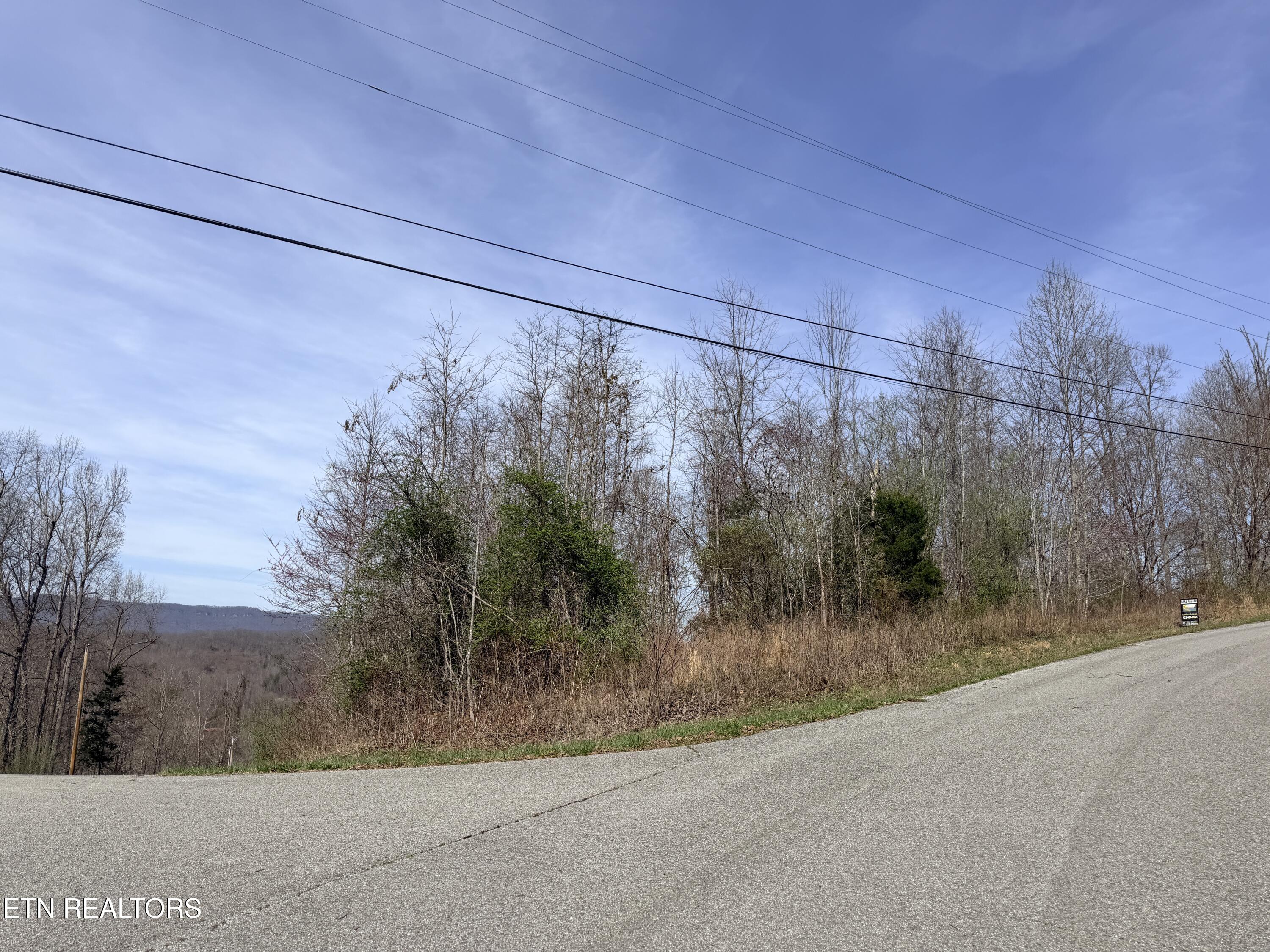 Lot 110 Harness Lane Speedwell TN 37870