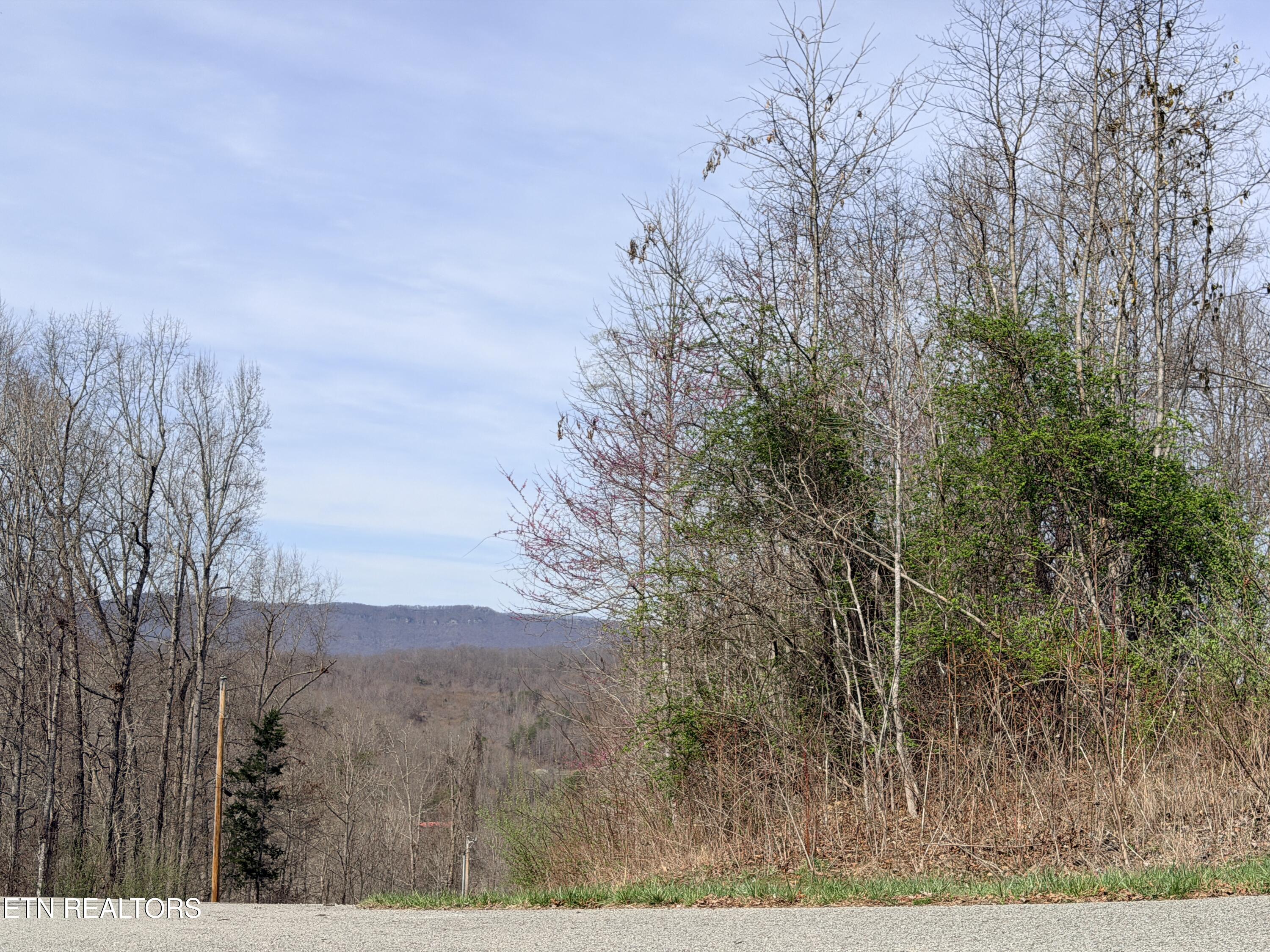 Lot 110 Harness Lane Speedwell TN 37870