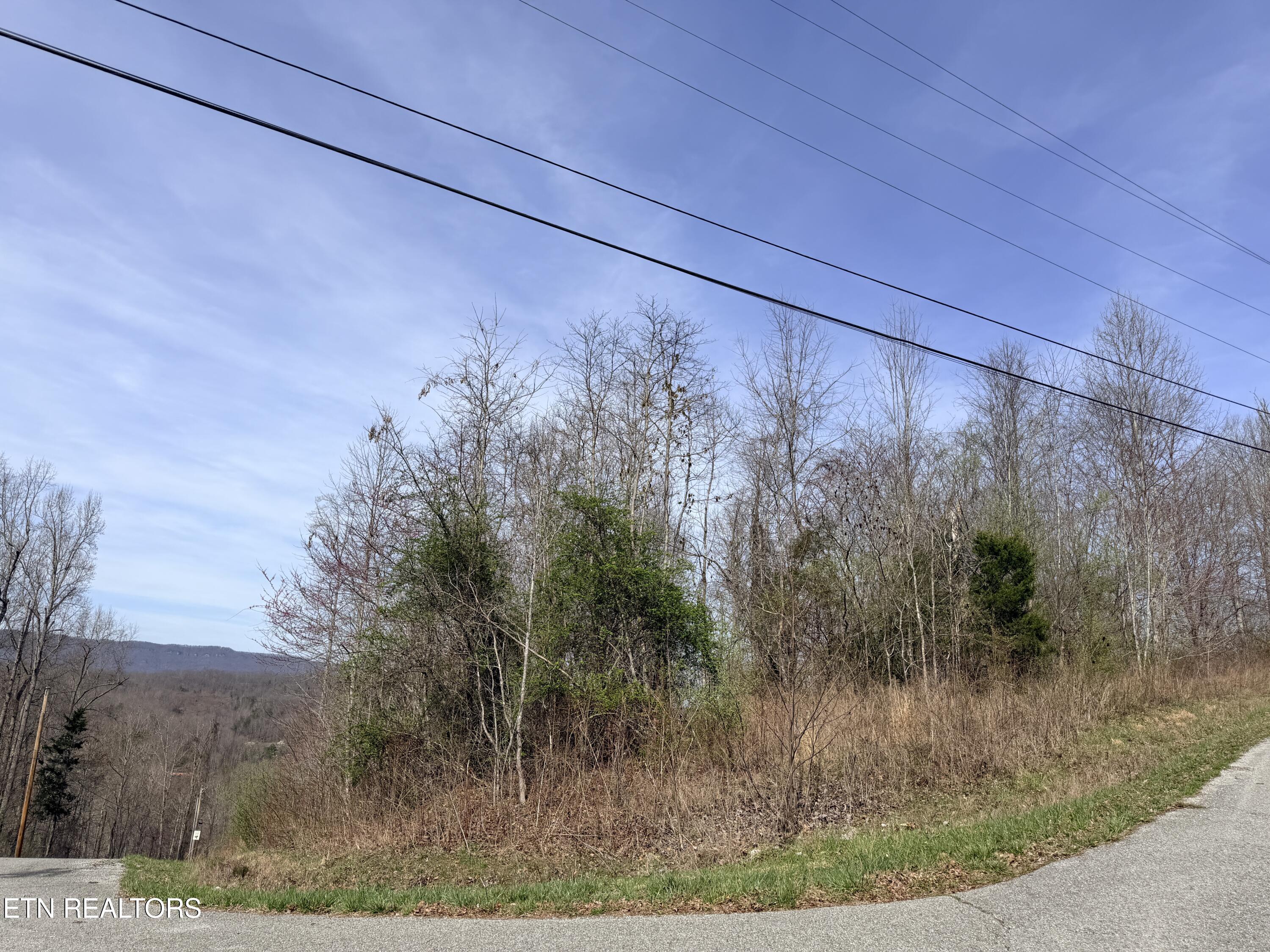Lot 110 Harness Lane Speedwell TN 37870