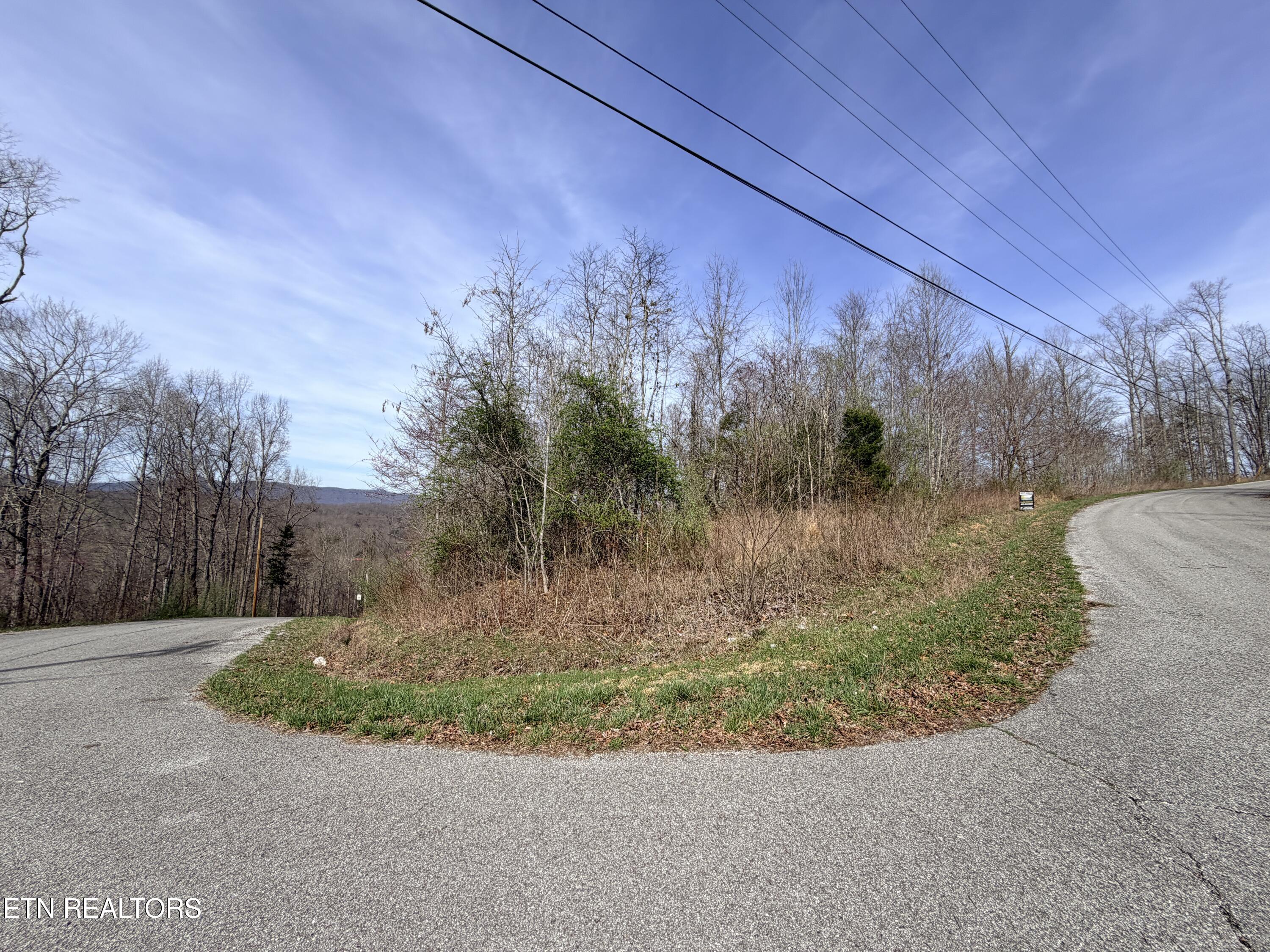 Lot 110 Harness Lane Speedwell TN 37870