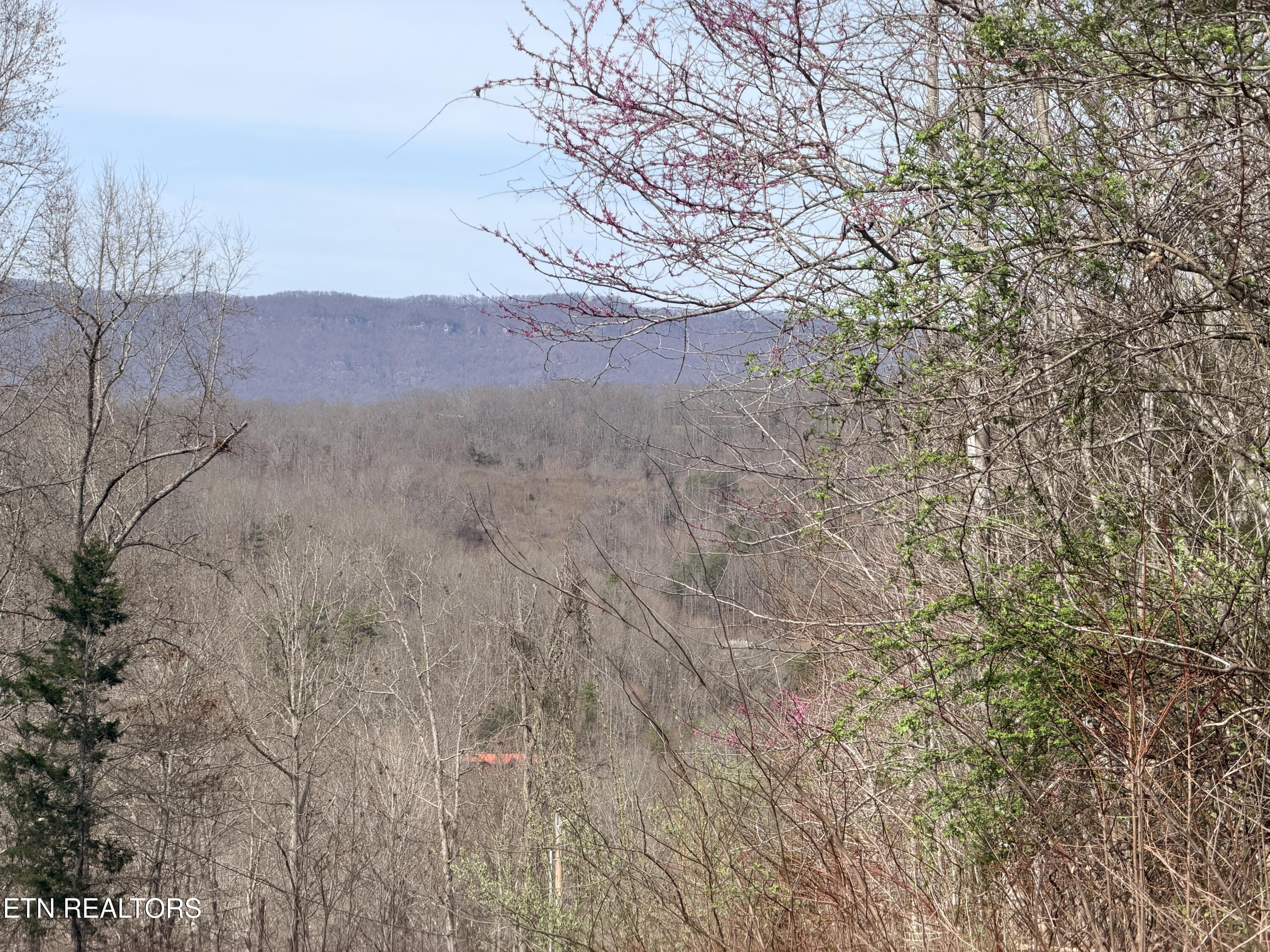 Lot 110 Harness Lane Speedwell TN 37870