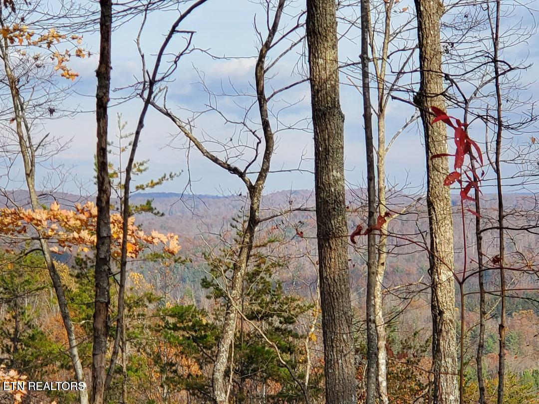 Bull Creek Road S/0 Huntsville TN 37756