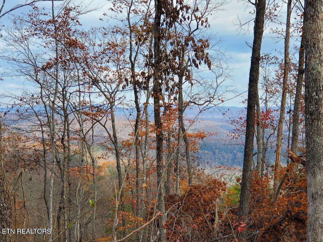 Bull Creek Road S/0 Huntsville TN 37756