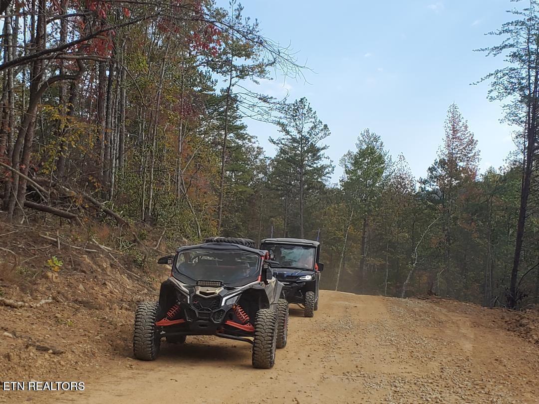 Bull Creek Road S/0 Huntsville TN 37756