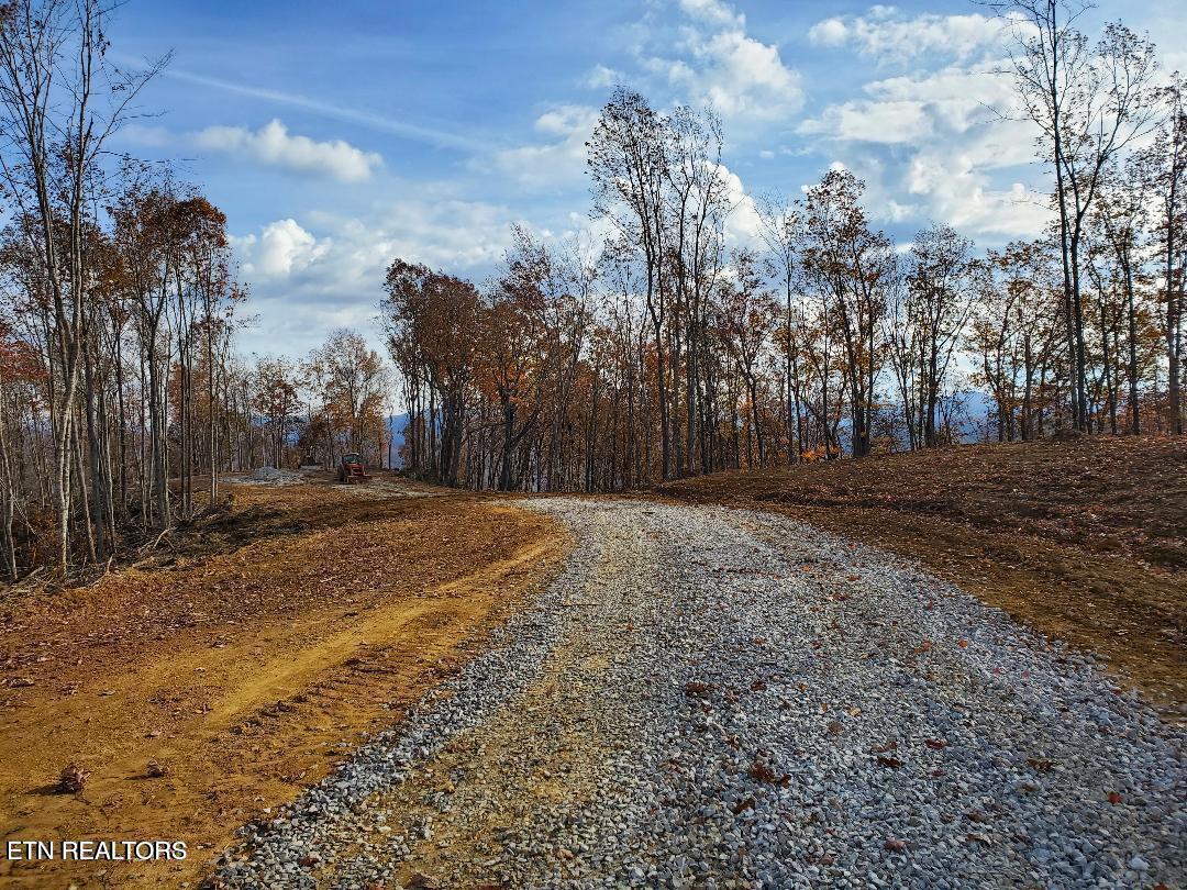 Bull Creek Road S/0 Huntsville TN 37756