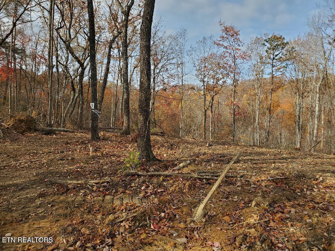 Bull Creek Road S/0 Huntsville TN 37756