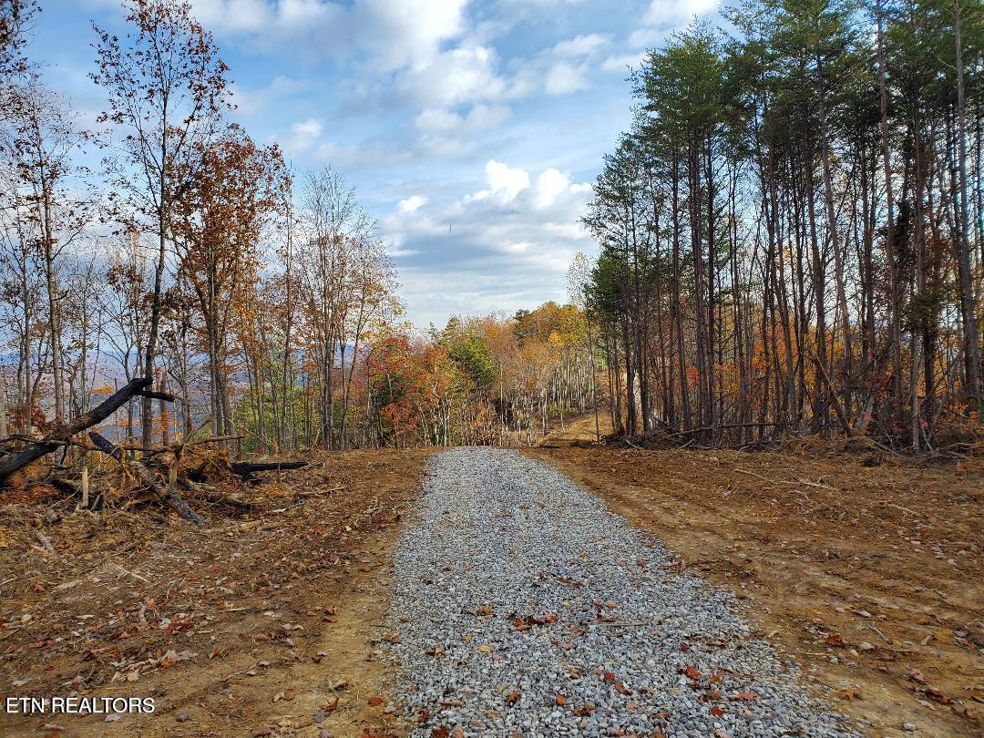 Bull Creek Road S/0 Huntsville TN 37756