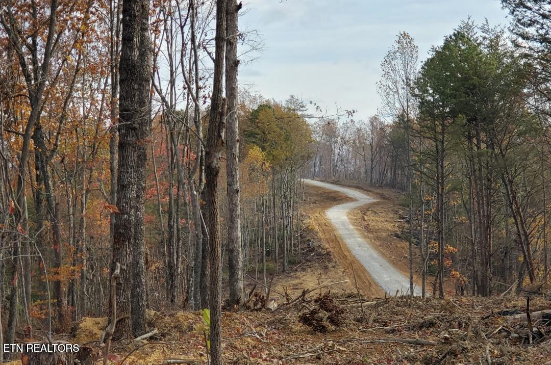 Bull Creek Road S/0 Huntsville TN 37756