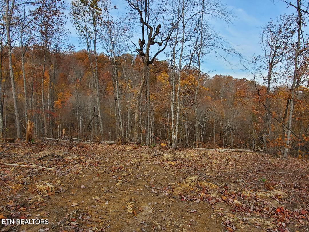 Bull Creek Road S/0 Huntsville TN 37756