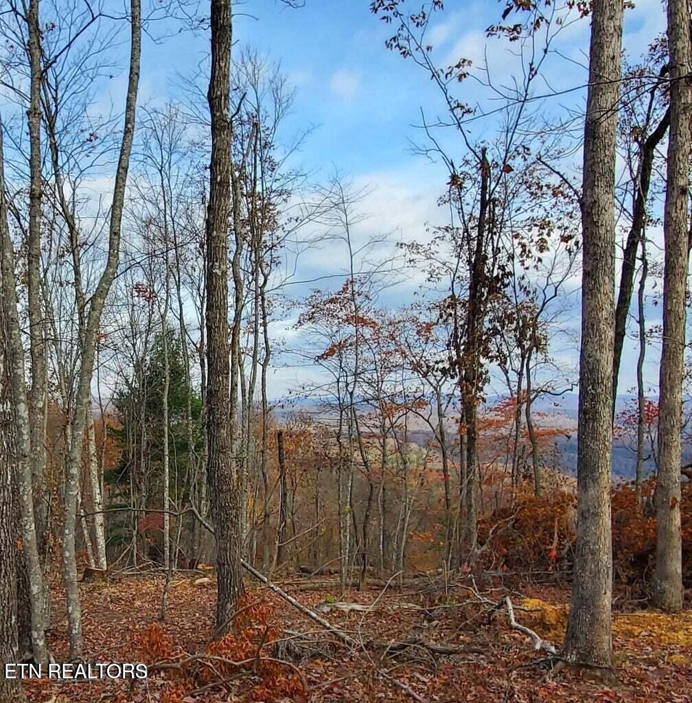 Bull Creek Road S/0 Huntsville TN 37756