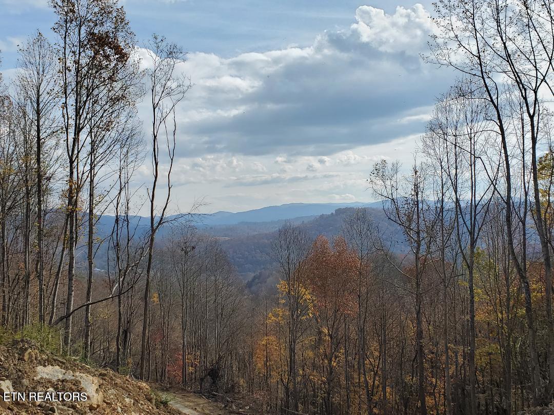 Bull Creek Road S/0 Huntsville TN 37756