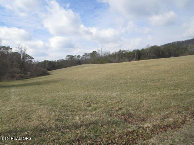Jarnagin Avenue Rutledge TN 37861