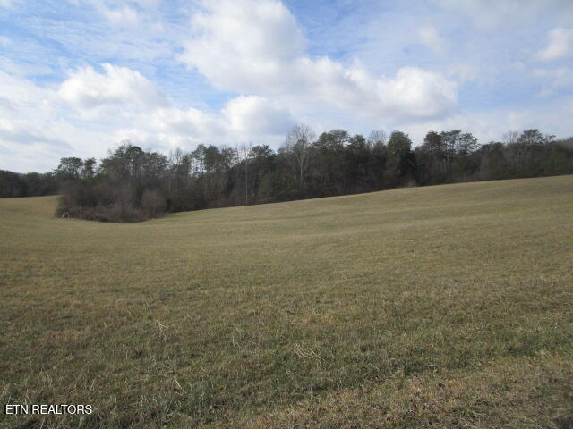 Jarnagin Avenue Rutledge TN 37861