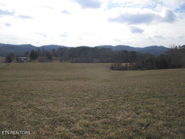 Jarnagin Avenue Rutledge TN 37861