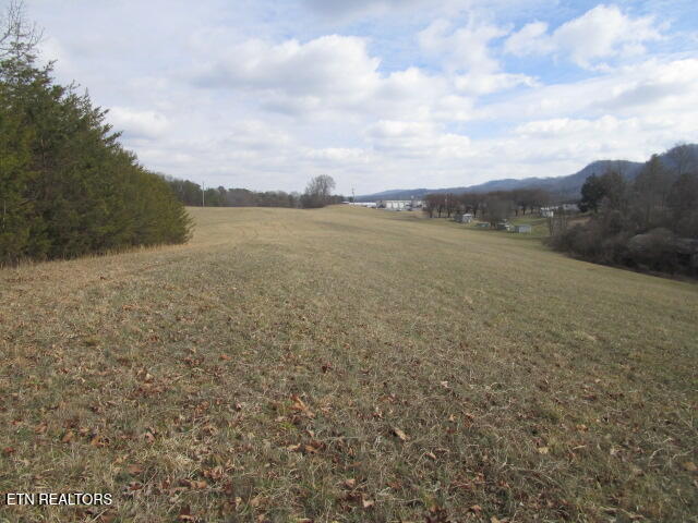 Jarnagin Avenue Rutledge TN 37861