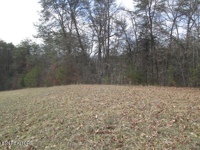 Jarnagin Avenue Rutledge TN 37861