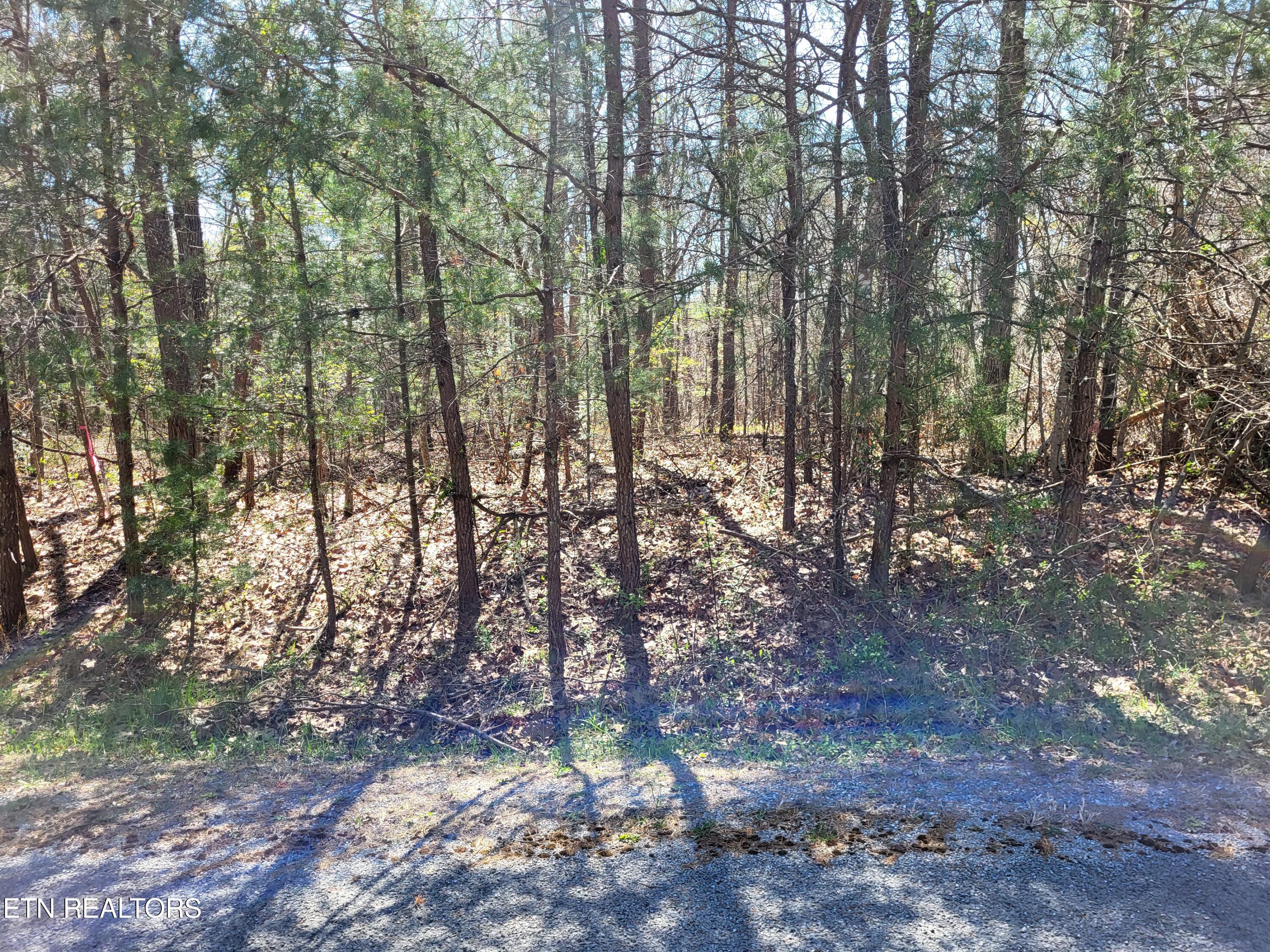 576 Marmaduke Drive Crossville TN 38558
