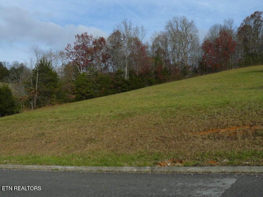 117 Henley Street Tazewell TN 37879