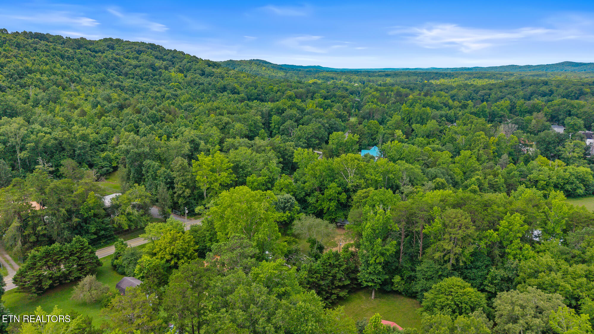 195 Crisp Lane Decatur TN 37322