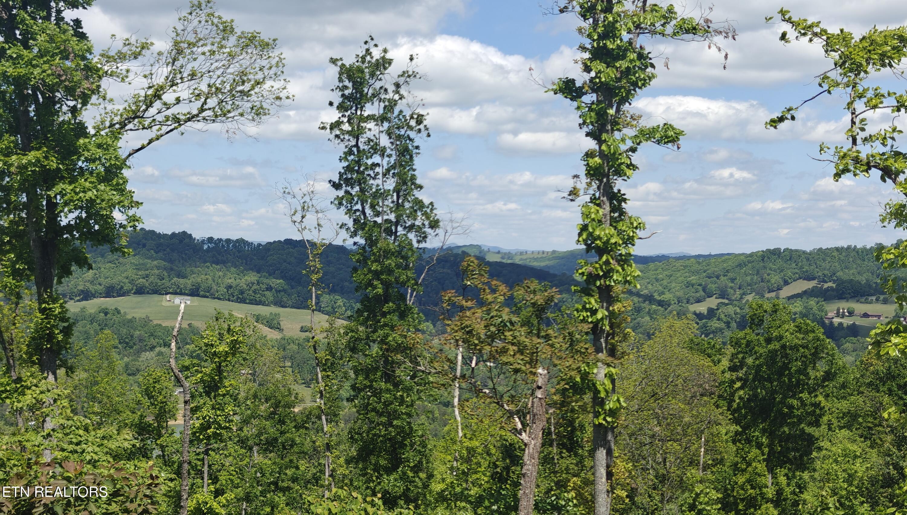 Lake Lane New Tazewell TN 37825