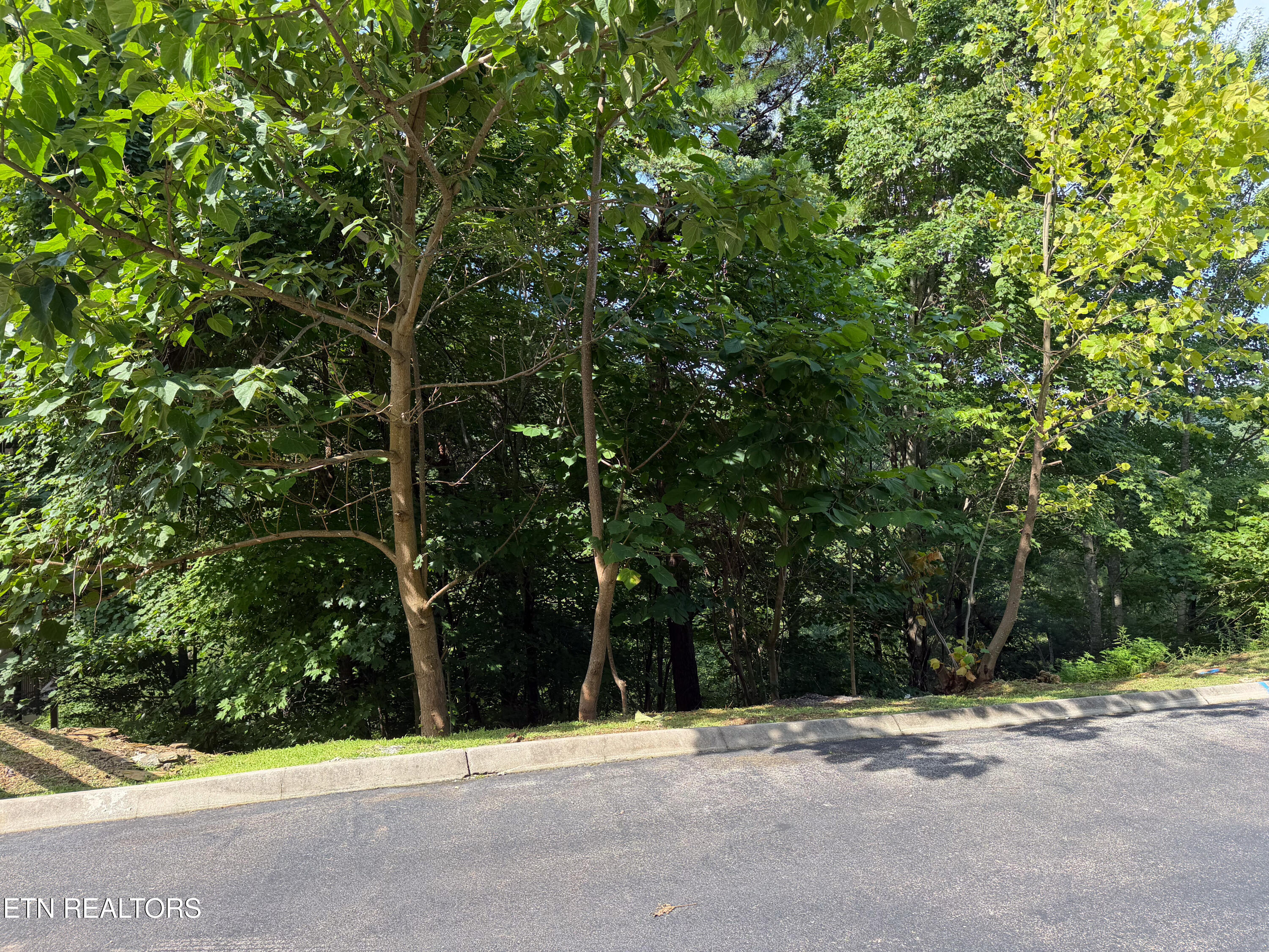 Lot 56 Smoky Ridge Way Sevierville TN 37876
