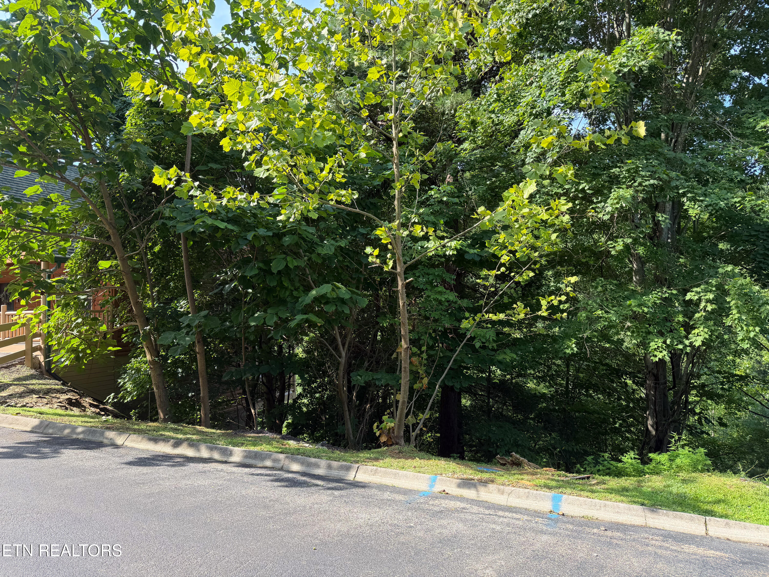 Lot 56 Smoky Ridge Way Sevierville TN 37876
