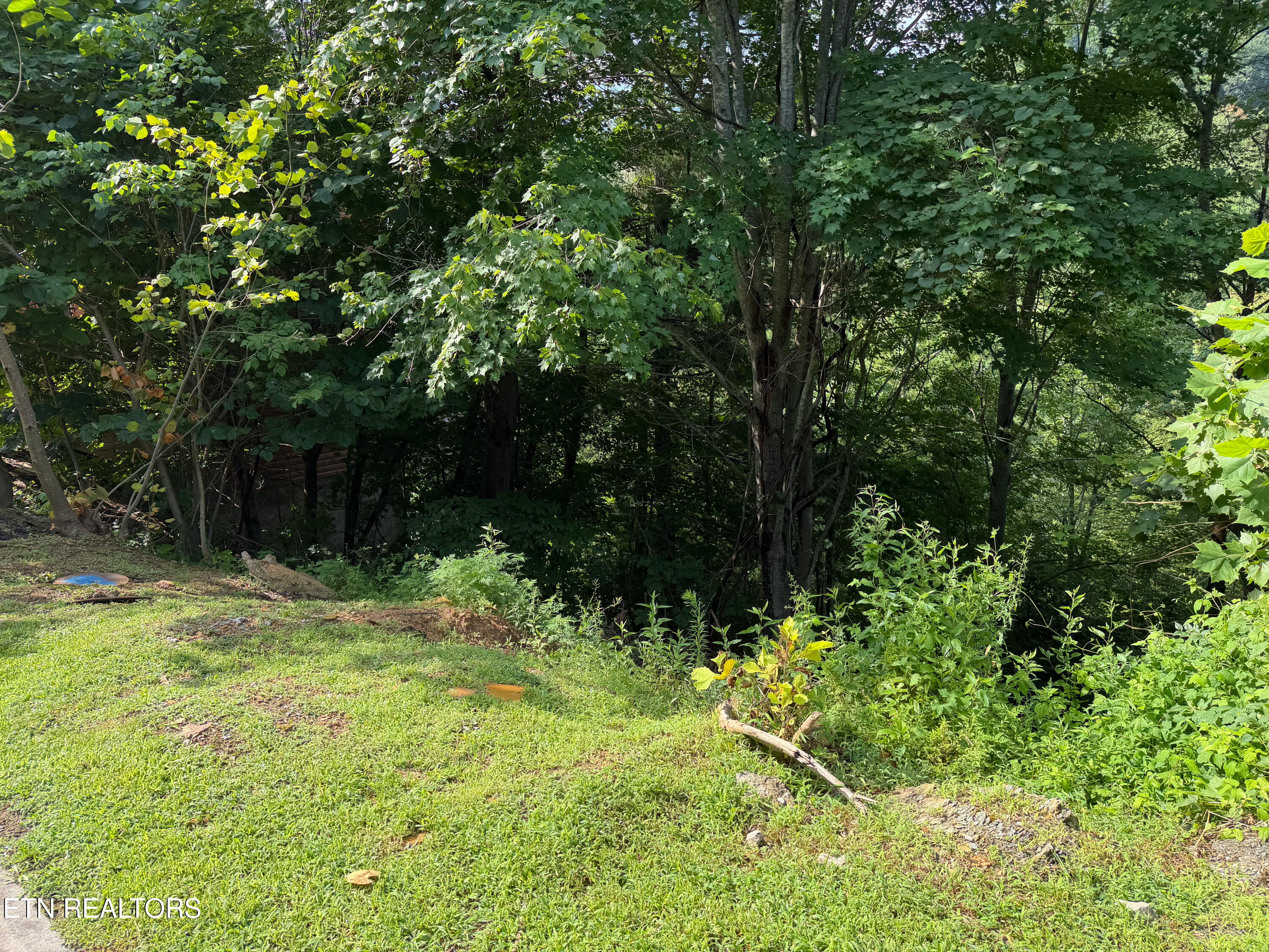 Lot 56 Smoky Ridge Way Sevierville TN 37876