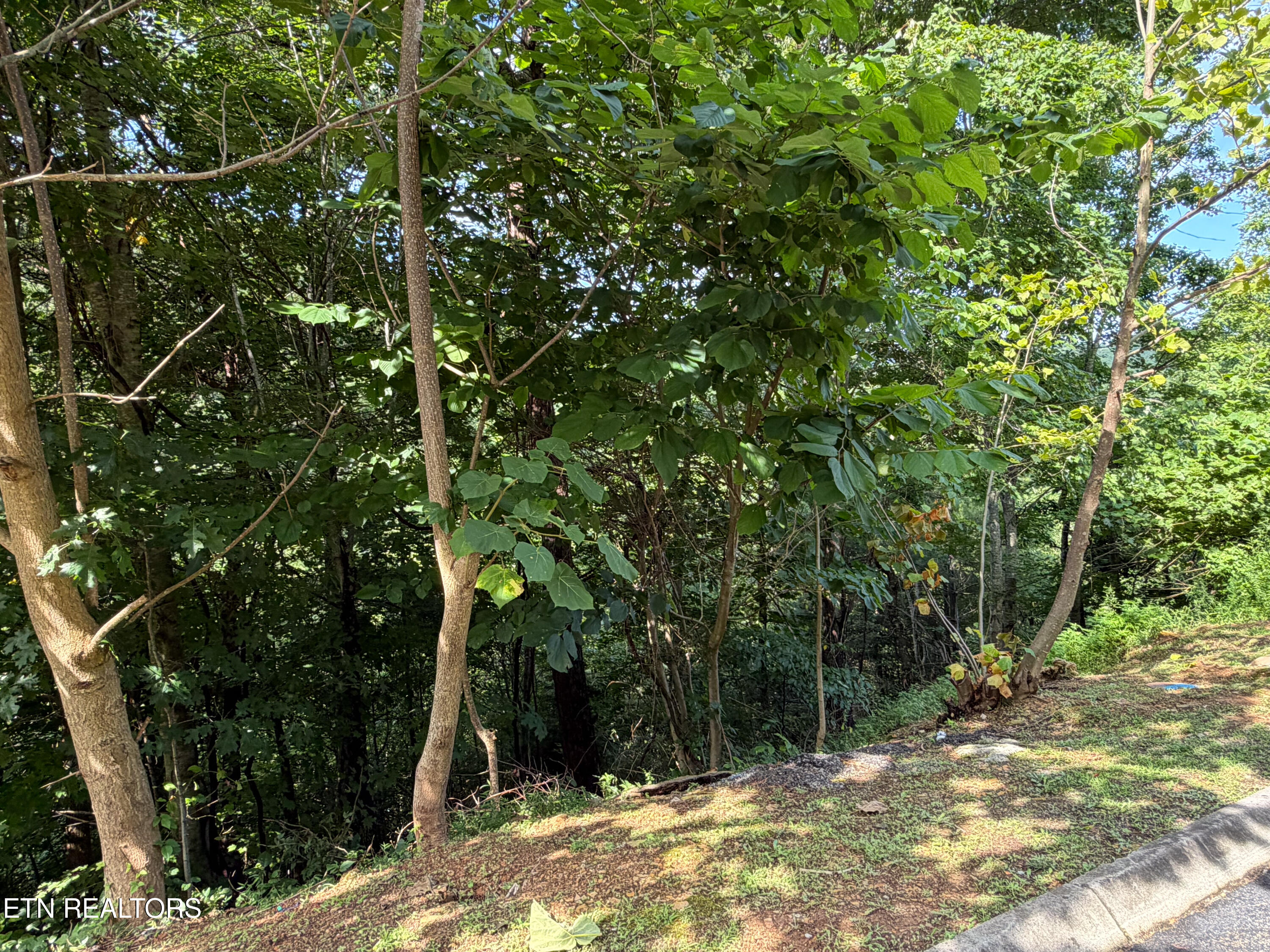 Lot 56 Smoky Ridge Way Sevierville TN 37876