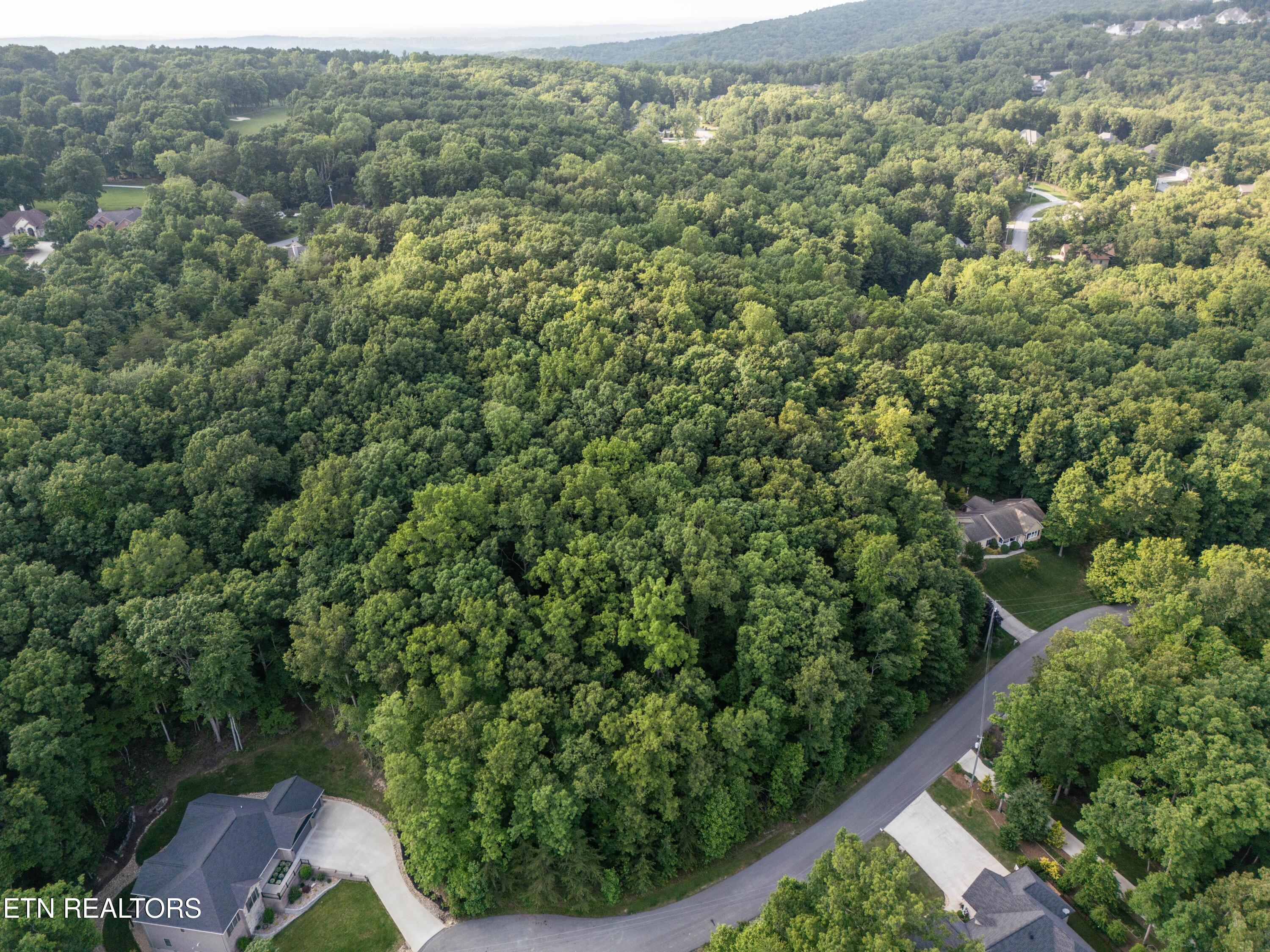 50 Kingsbridge Lane Fairfield Glade TN 38558