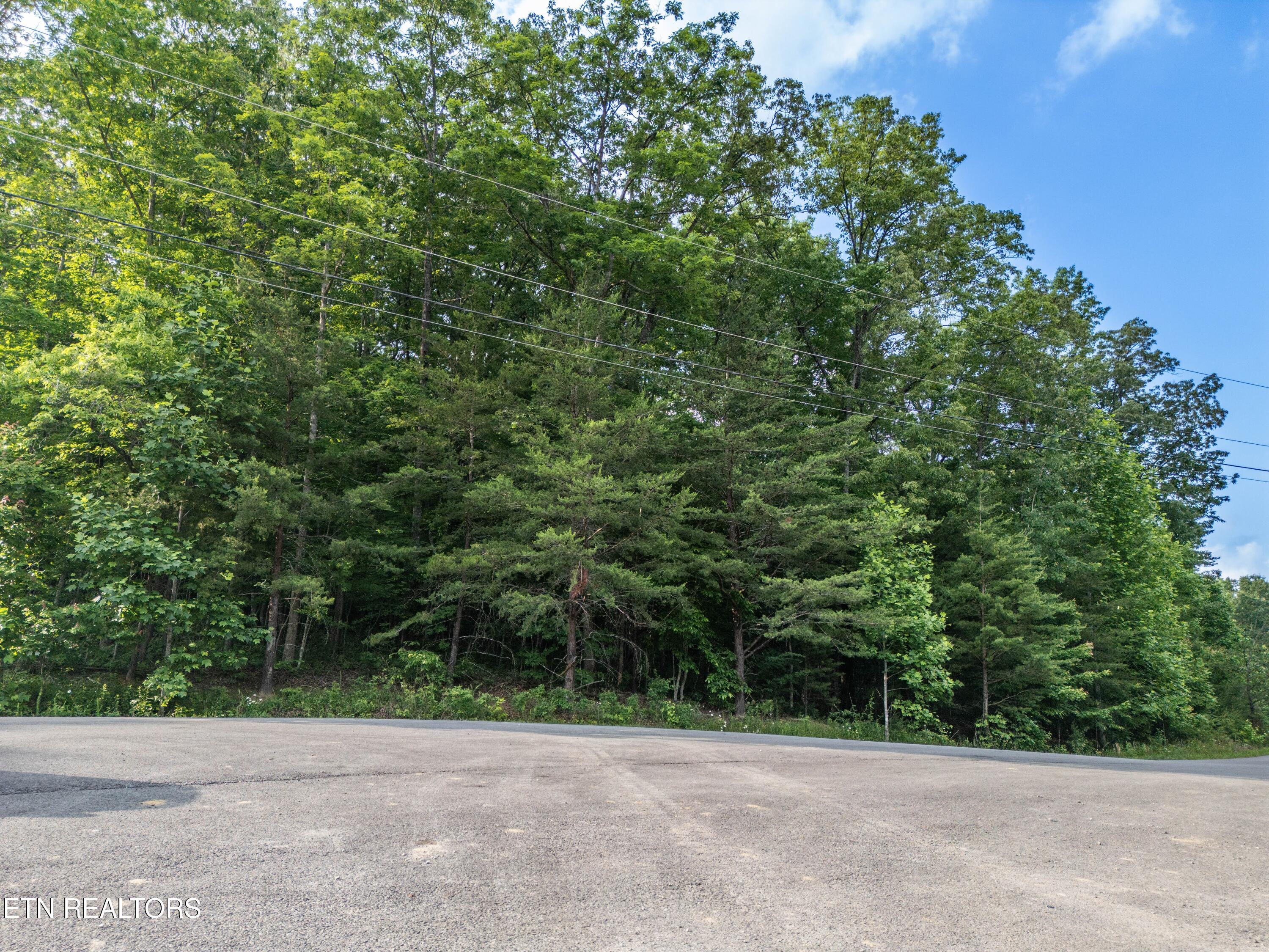 50 Kingsbridge Lane Fairfield Glade TN 38558