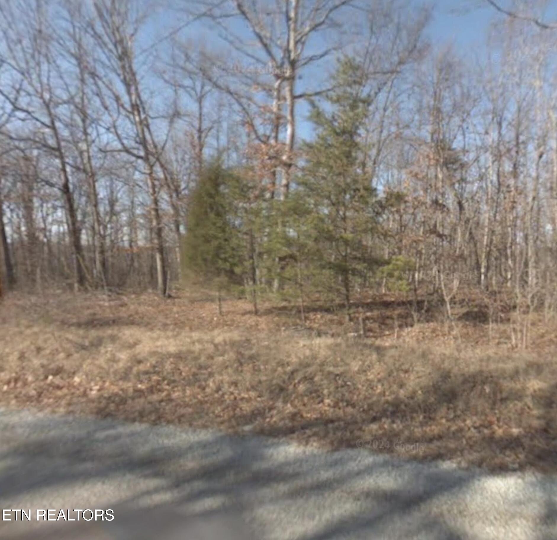 Timothy Drive Crossville TN 38572