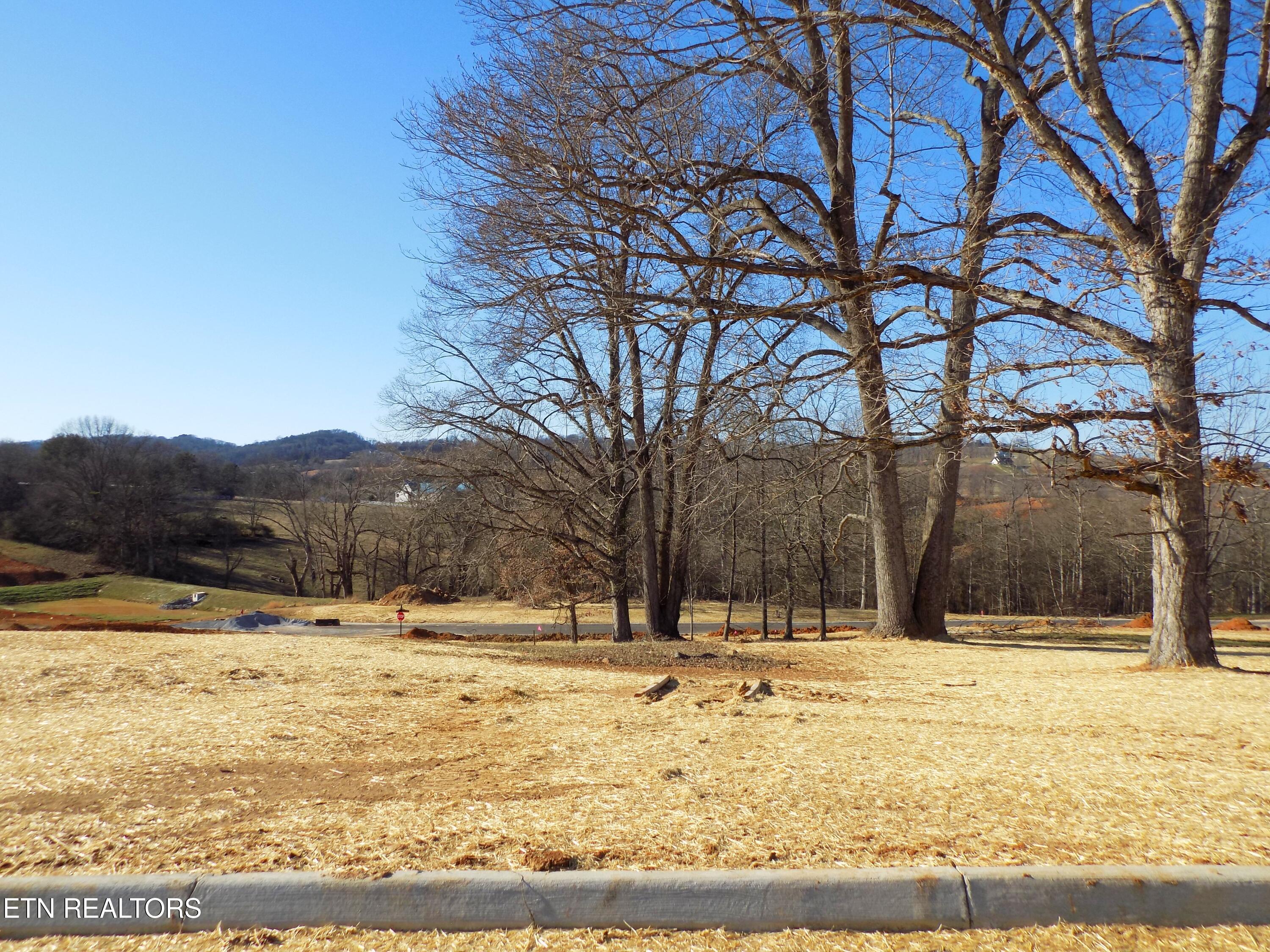 Lot 13 Shorewood Point Morristown TN 37814