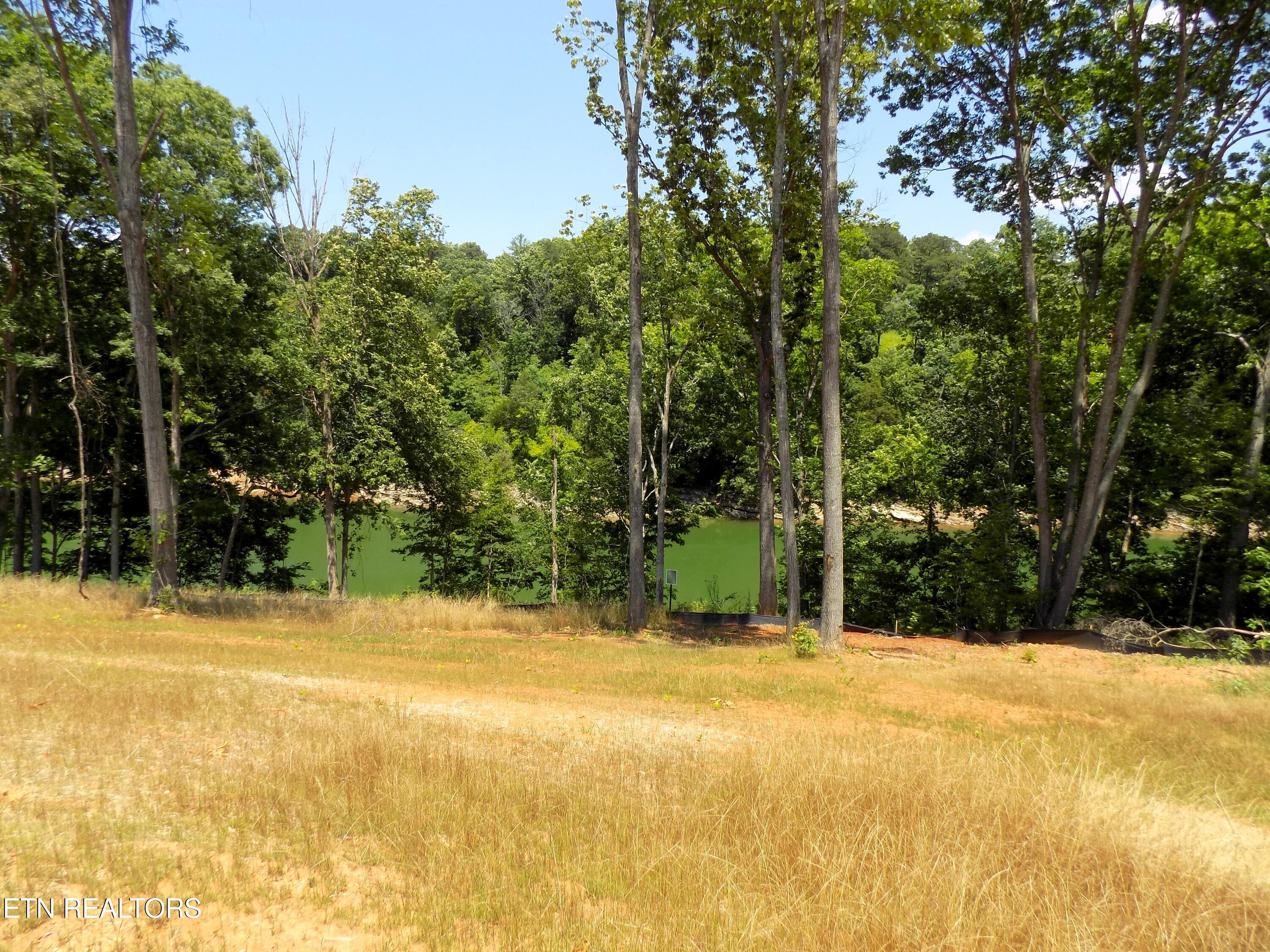 Lot 13 Shorewood Point Morristown TN 37814