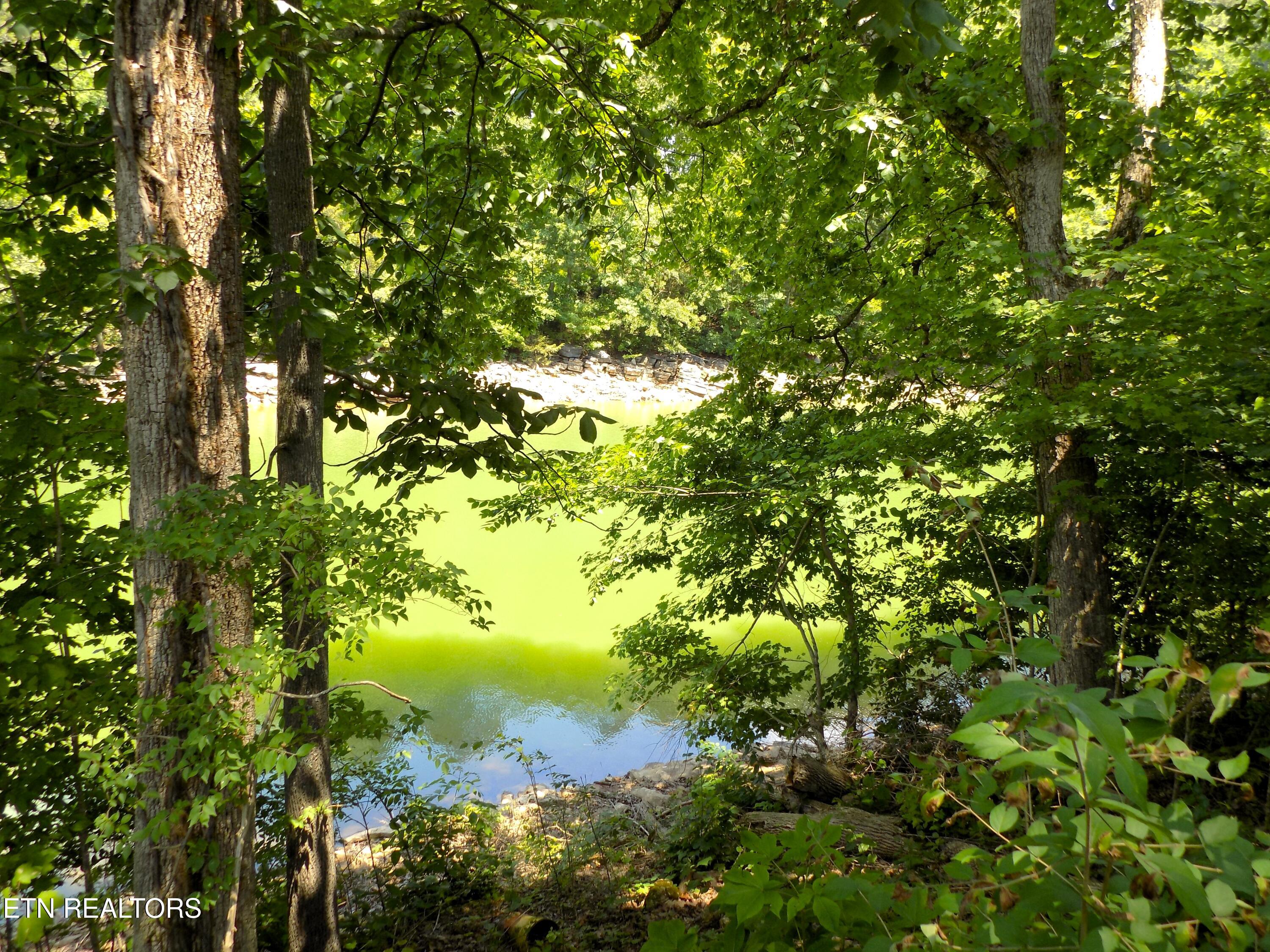 Lot 13 Shorewood Point Morristown TN 37814
