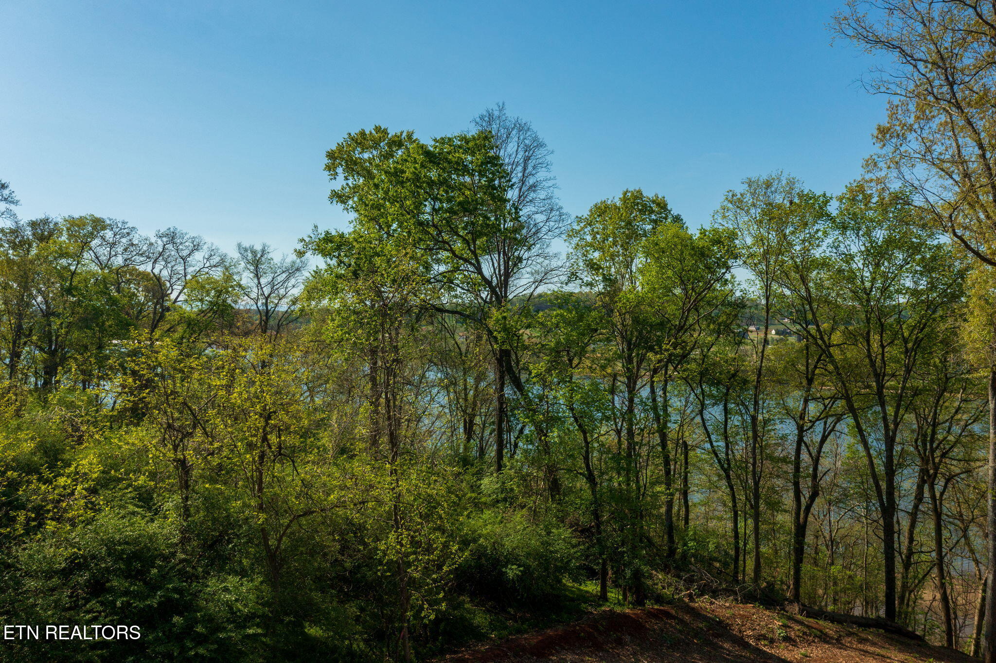 171 Cedar Grove Street Loudon TN 37774