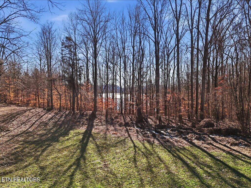 141 Red Cloud Lane Rutledge TN 37861