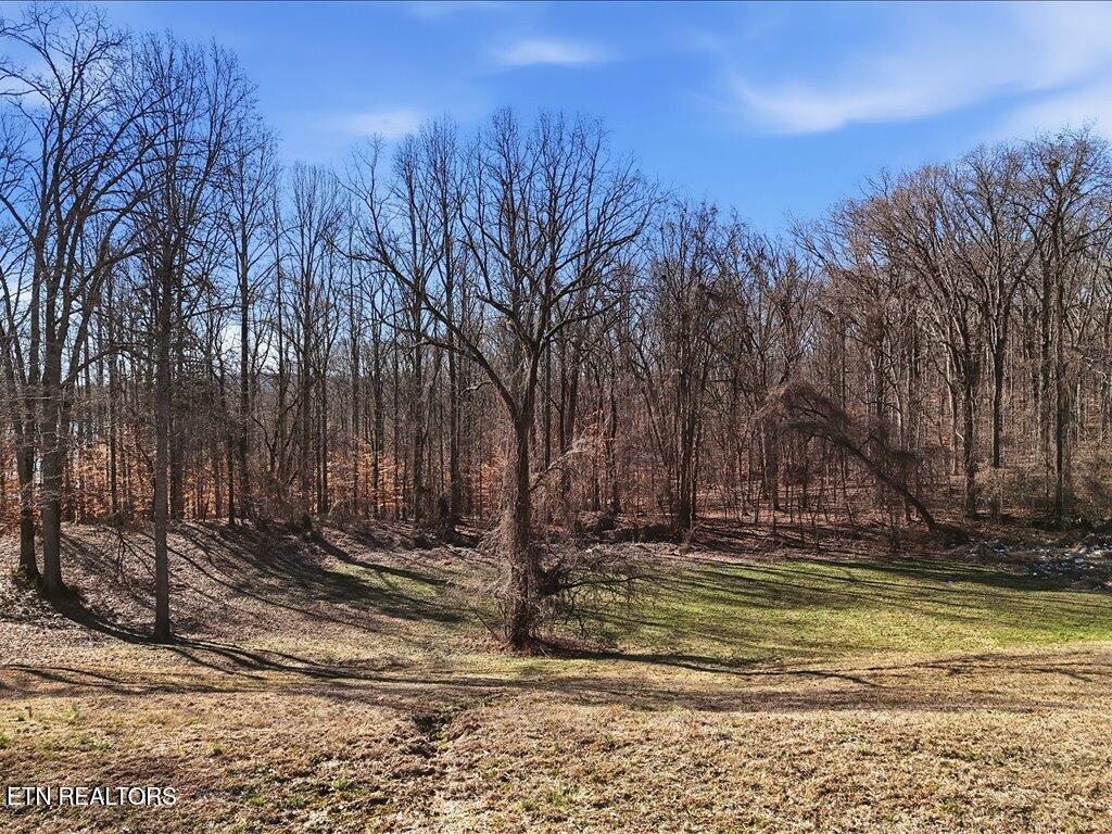 141 Red Cloud Lane Rutledge TN 37861
