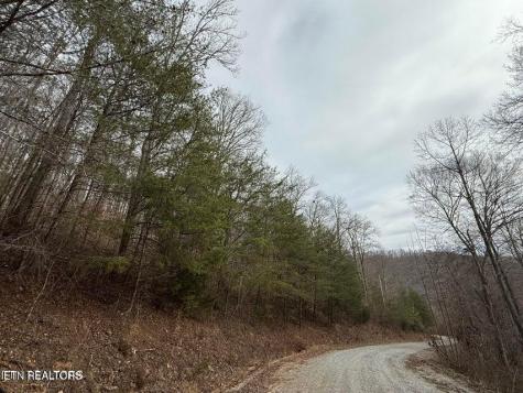 Jones Ridge Road Speedwell TN 37870