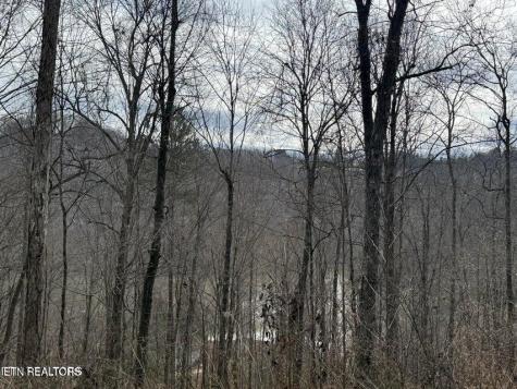 Jones Ridge Road Speedwell TN 37870