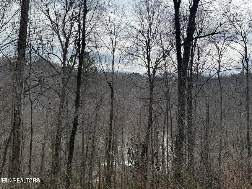 Jones Ridge Road Speedwell TN 37870