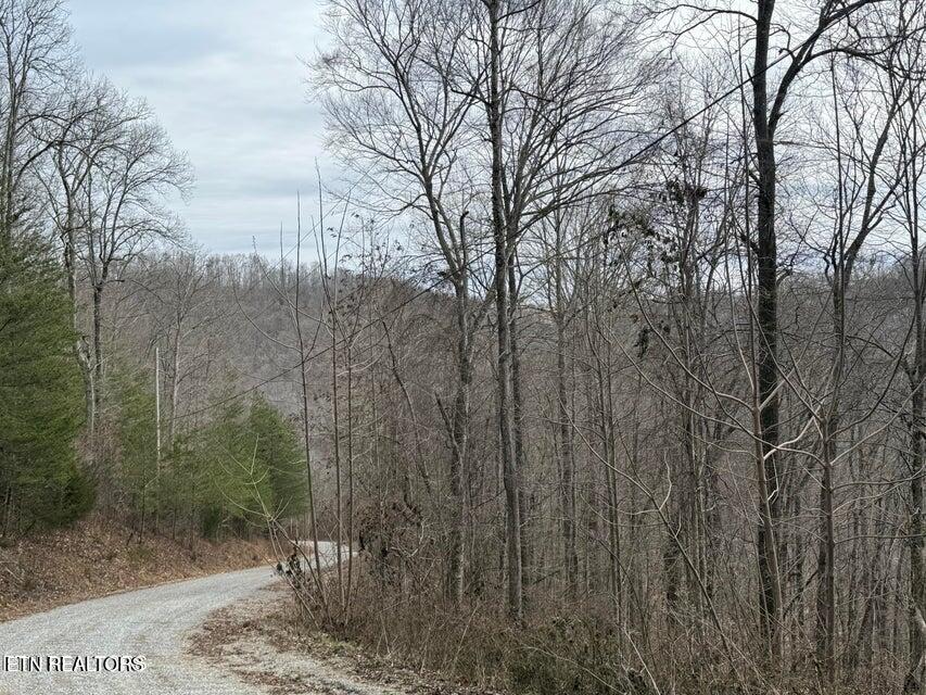 Jones Ridge Road Speedwell TN 37870