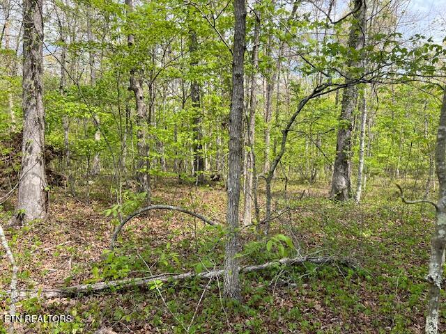 8921 Cherokee Trail Crossville TN 38572