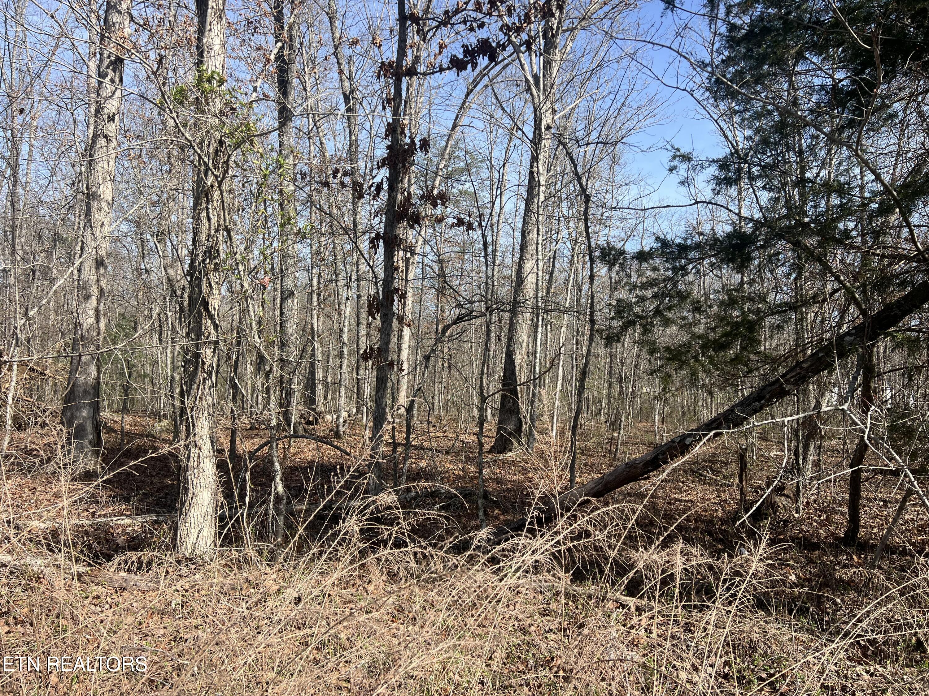 8921 Cherokee Trail Crossville TN 38572
