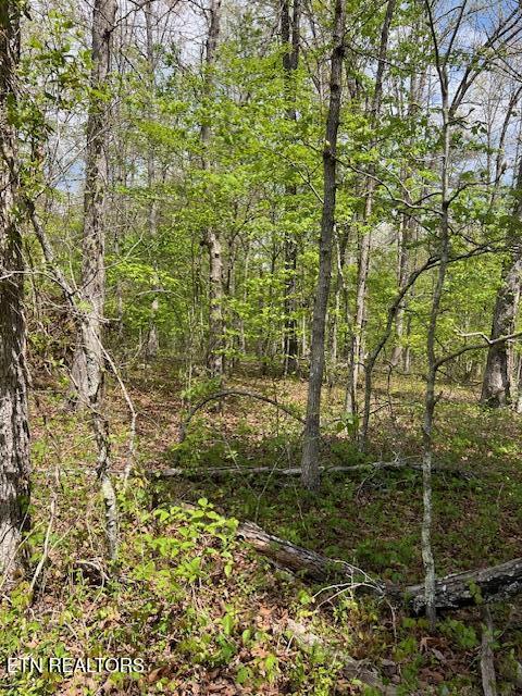 8921 Cherokee Trail Crossville TN 38572