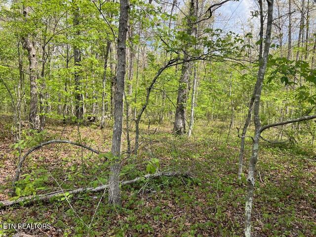 8921 Cherokee Trail Crossville TN 38572