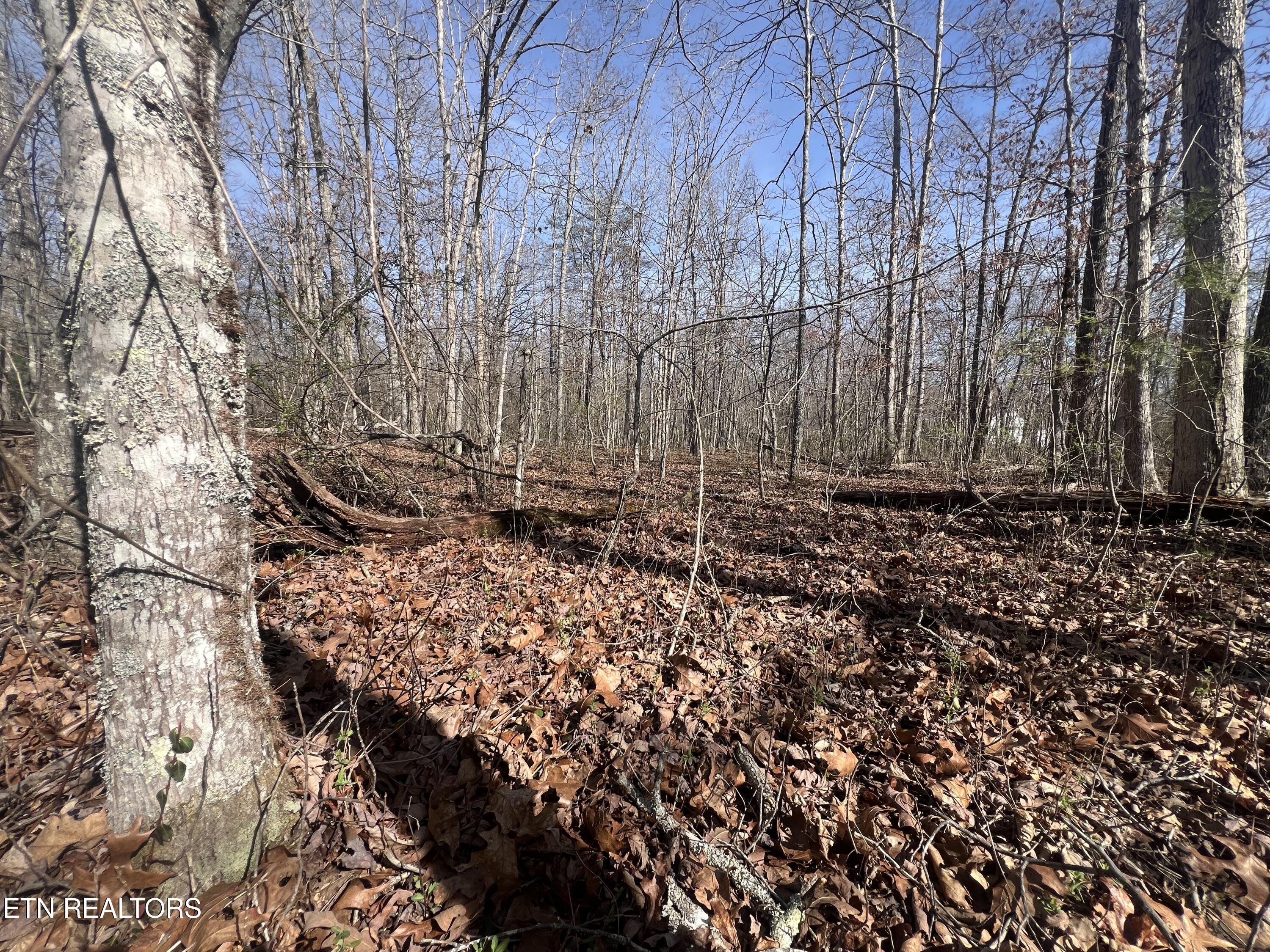 8921 Cherokee Trail Crossville TN 38572
