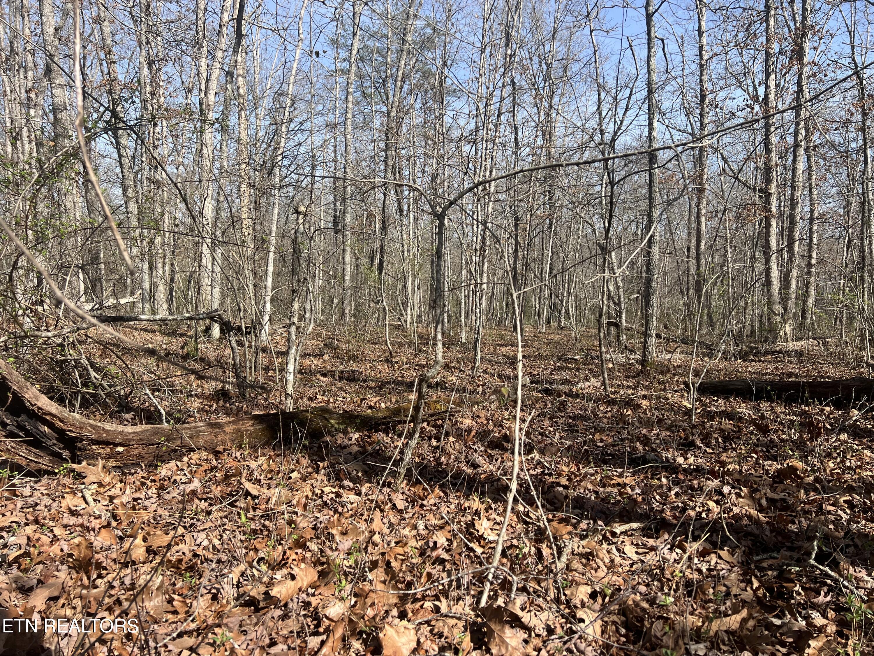 8921 Cherokee Trail Crossville TN 38572