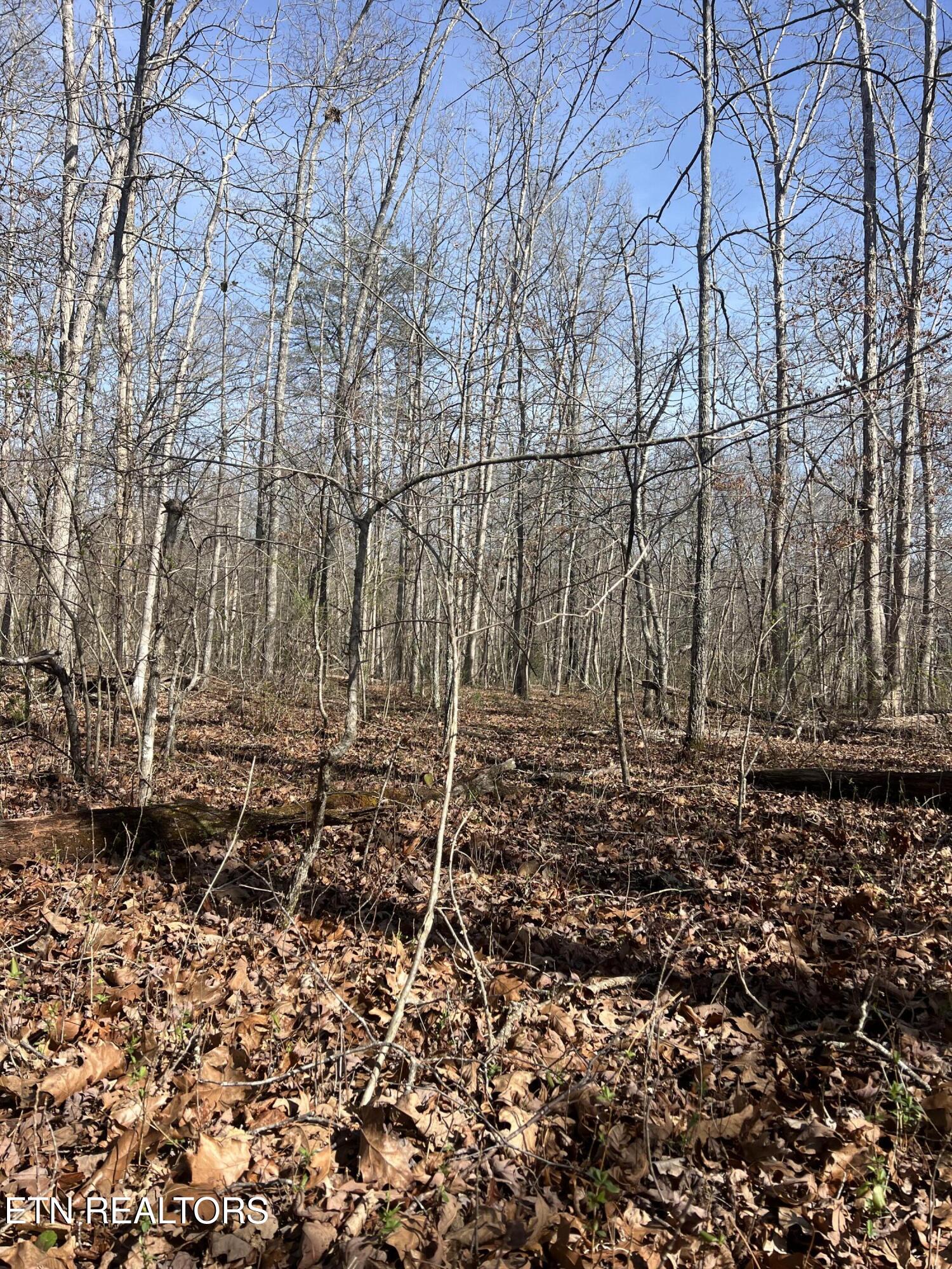 8921 Cherokee Trail Crossville TN 38572