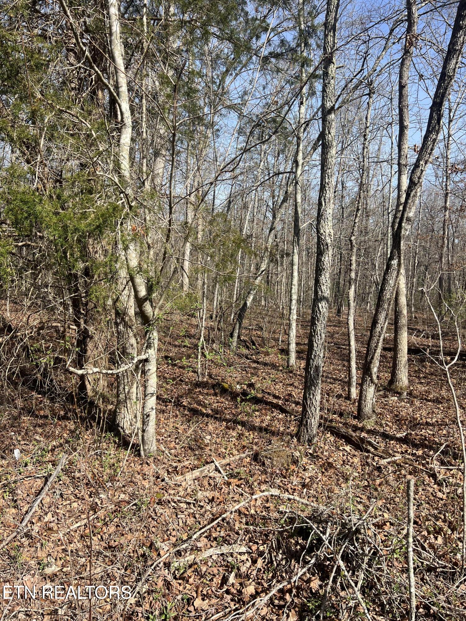 8921 Cherokee Trail Crossville TN 38572